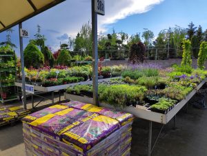 NJ Gardening Supply Store Distributor Insurance Agency